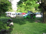 SX22122 Lamb and sheep at van onLangdale Campsite, Lake District.jpg